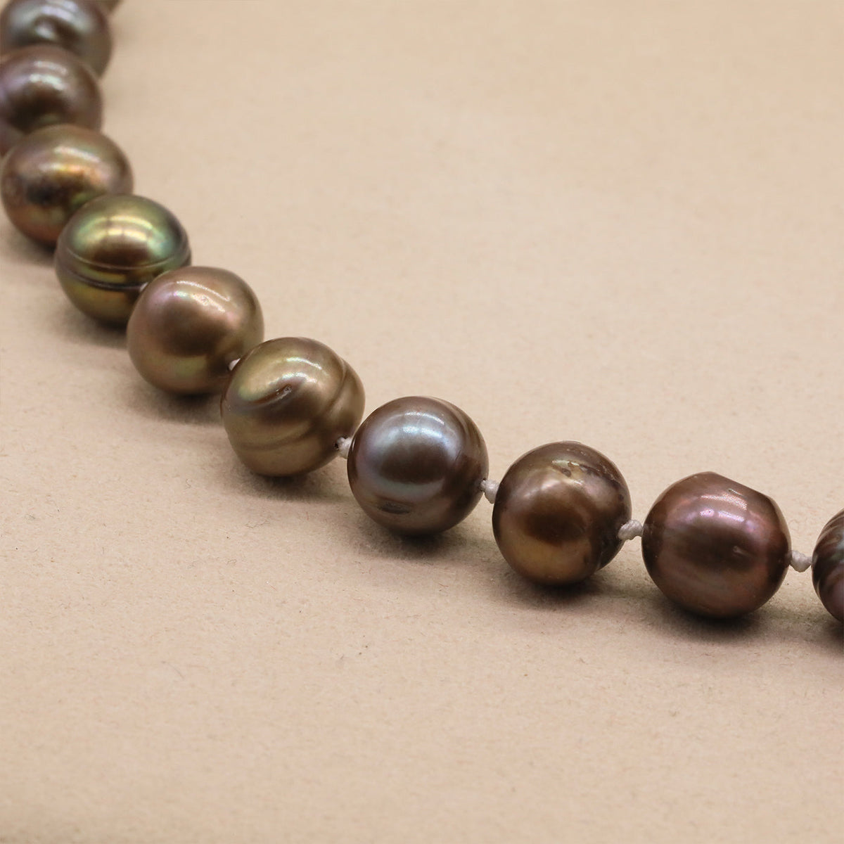 XL2501GOLDEN-01