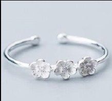 Fashion Ring #JCSR-38
